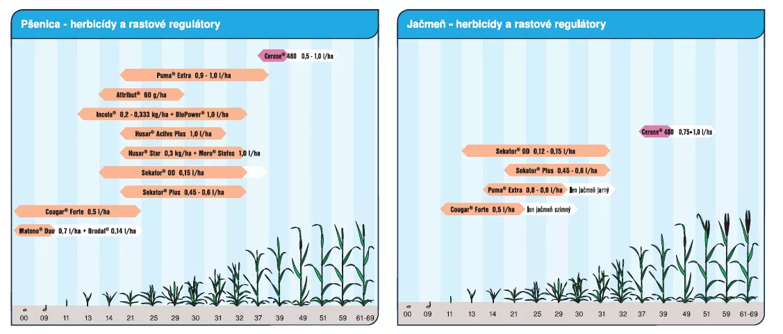 Plodinové systémy ochrany obilniny
